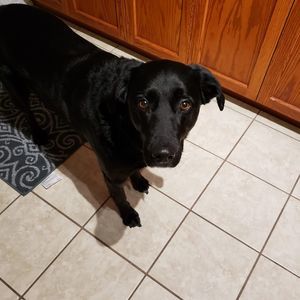 Meet your Posher, Trish